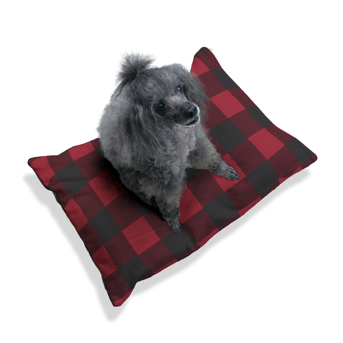 Small gray dog sitting on the Cranberry Buffalo Check pet bed
