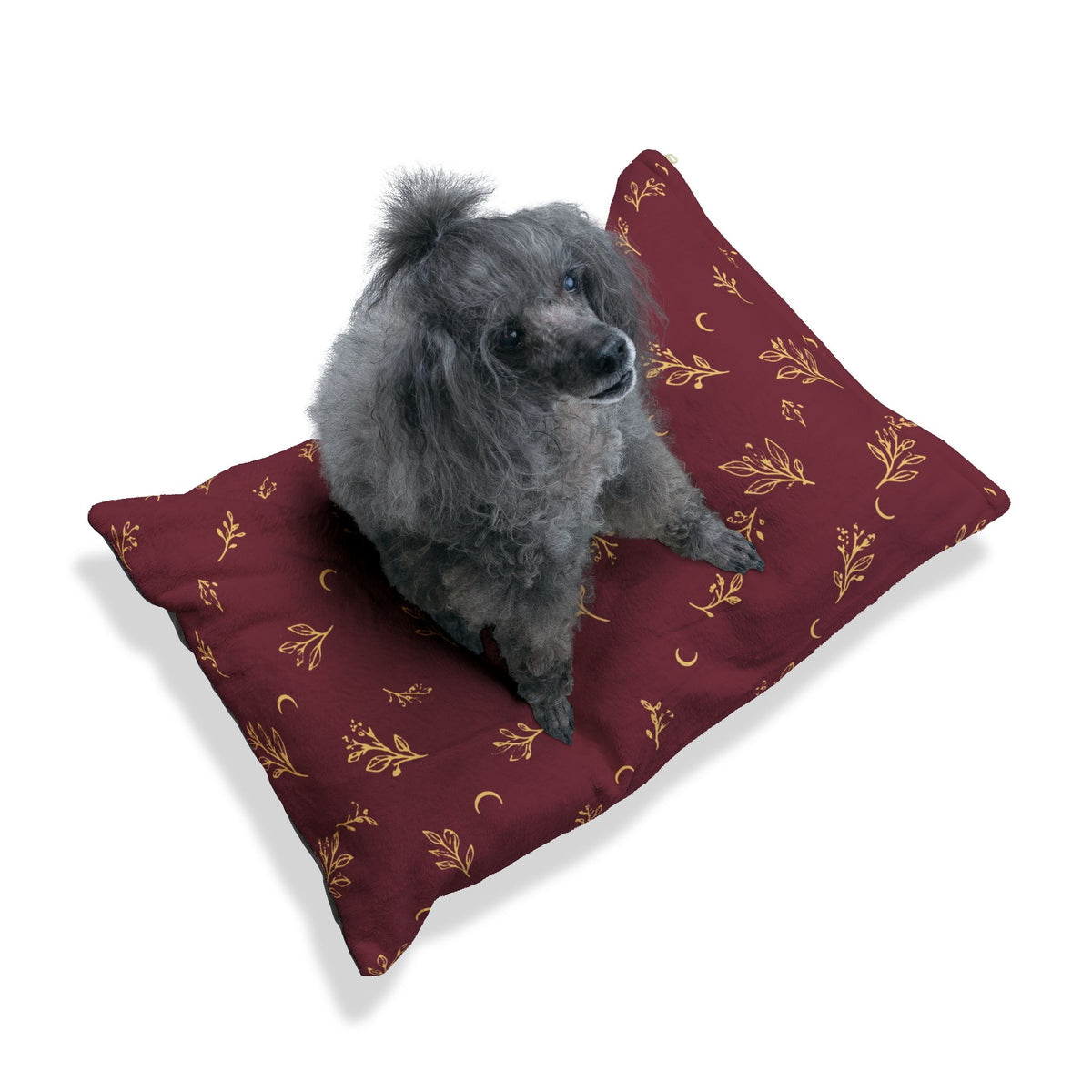Small gray dog sitting on the Cranberry Gold pet bed
