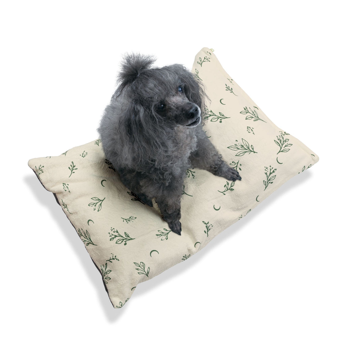 Small gray dog sitting on the Cream Sage pet bed