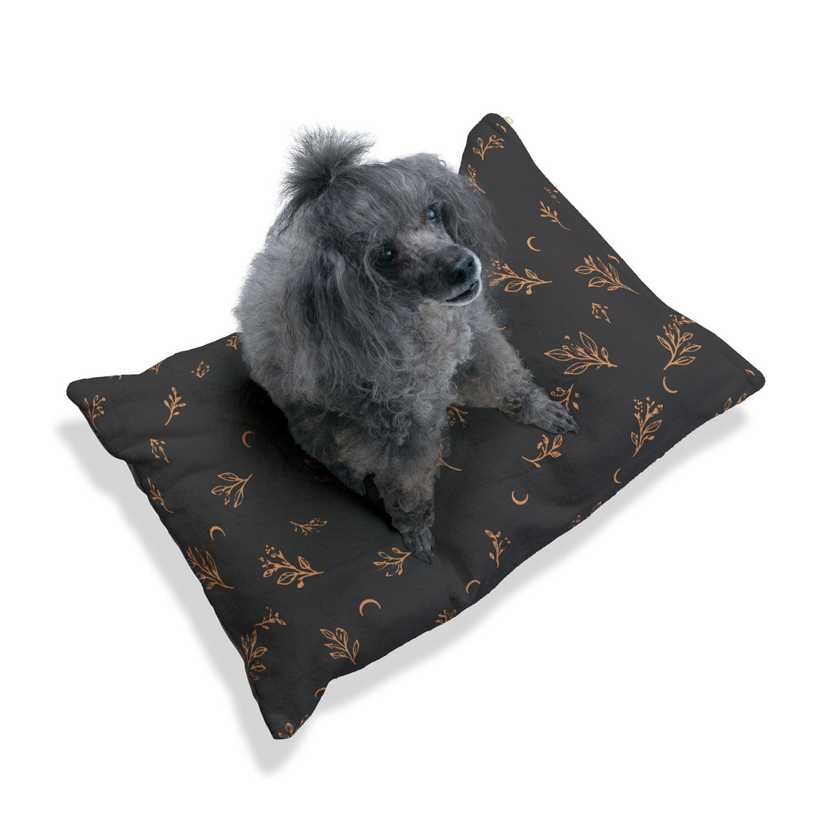 Small gray dog sitting on the Charcoal Copper pet bed